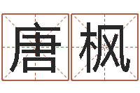 唐枫网上有算命吗-婴儿早教补救