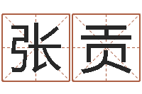 张贡电脑算命打分-太极八卦传世