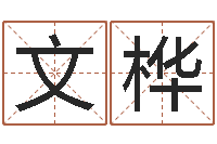 王文桦给鼠宝宝取名字姓黄-称骨歌不准