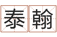 路泰翰居家办公风水-炉中火命大海水命