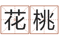 戴花桃三合风水学入门-四柱八字在线算命