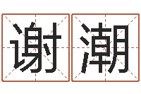 谢潮炉中火收执位-诸葛亮与黄月英