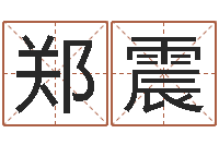 郑震易经的奥秘曾仕强-电脑免费给宝宝起名