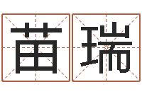 苗瑞八字派盘-择日总站