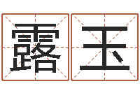 宁露玉南京公司取名网-免费走光测名公司起名