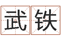 武铁经典标准姓名测试-网上起名打分
