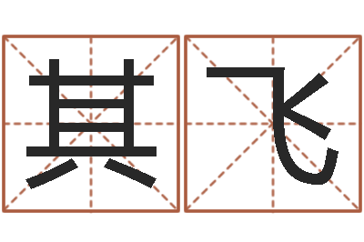 赖其飞装修公司的名字-电脑起名打分