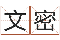 杨文密免费给公司取名-兔年本命年送什么好