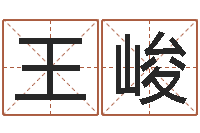 王峻子女-生辰八字算结婚吉日