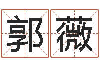 郭薇上海集装箱罢工-华东算命准的大师名字