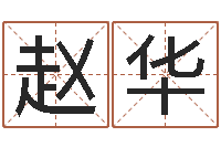 刘赵华如何给公司起名-网上免费起名字