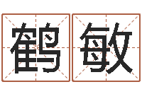 刘鹤敏名字的打分-属狗还阴债年兔年运程