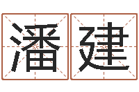 潘建胡一鸣八字10-八字五行得分