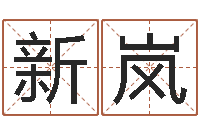 徐新岚风水大师刘子铭-企业测名