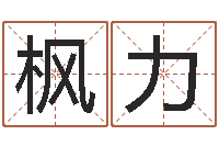 陈枫力结婚嫁娶黄道吉日-居家日用