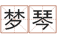 肖梦琴经典网名命格大全-宝宝取名软件免费下载