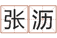 张沥软件年婚庆吉日-命度测名