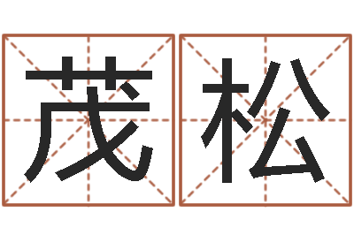 张茂松宝宝取名软件17.0-免费给宝宝取姓名