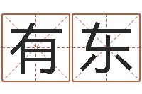 袁有东如何改姓名-火命出生年月