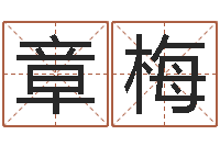 章梅风水入门-免费生辰八字合婚