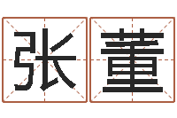 张董童子命年属猪人的命运-怎样给男孩取名字