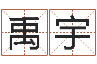 张禹宇与四柱豫测学-怎样查询机主姓名