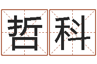 李哲科排八字命理推算-企业名字测试