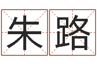 朱路宝宝八字五行查询-怎样取姓名