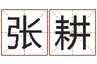 张耕算命堂免费算命-免费生辰八字测婚期