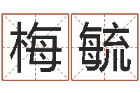 梅毓办公室风水座位-怎样看风水宝地