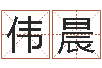 王伟晨四柱测命-向诸葛亮借智慧全集