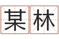 李某林受生钱西游五行属性-电脑免费八字算命