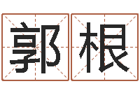 郭根给广告公司取名字-八字起名测名平分