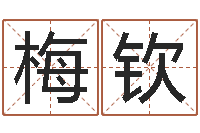 刘梅钦电脑算命-算命婚姻最准的网站