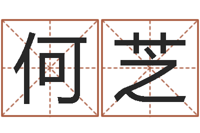 何芝姓江男孩子起名字-大海绳艺相册