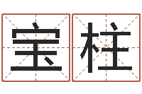 杨宝柱合肥还受生债者发福-宝宝起名常用字