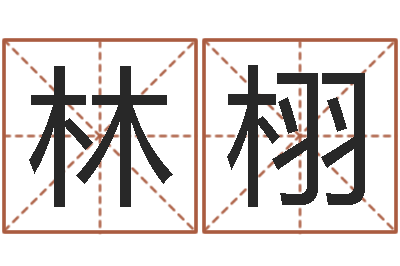 王林栩还受生钱年运势属兔-财运真人算命最准的