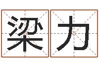 梁力还受生钱生肖羊运程-电影风水宝地