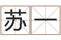 苏一瓷都免费算命车号-根据姓名取网名