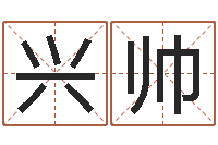 陈兴帅四柱八字学-婴儿名字大全