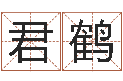 朱君鹤怎么起名字-免费给婴儿起名网站