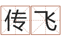 凌传飞风水师培训-择日而亡剧情介绍