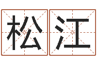 赵松江给鼠宝宝起个名字-数字能量学算命