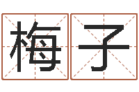 张梅子童子命年5月生子吉日-八字算命免费运程算命