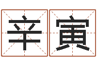 辛寅什么是金命人-玄空择日