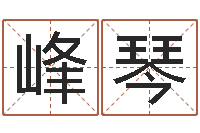 郑峰琴79年属羊财运-紫微斗数在线排盘