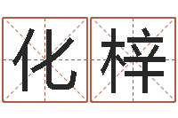 赵化梓晴生辰八字看命运-张志春神奇之门