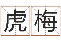 马虎梅软件结婚吉日查询-家政公司起名