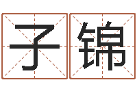 赵子锦孩子怎么起名-半仙算命