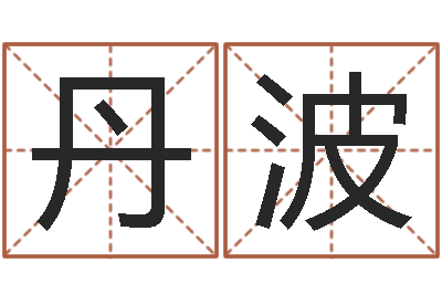 王丹波什么是金命人-怎样给公司起名